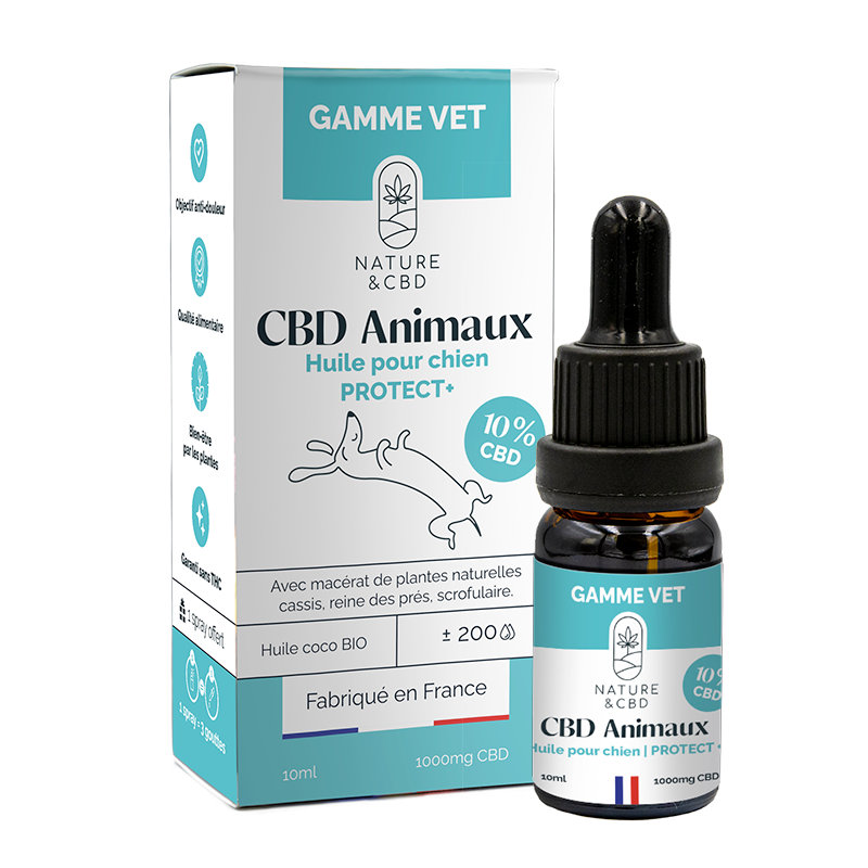 HUILE CBD ANIMAUX PROTECT+ 10% - CHIEN